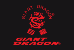 Giant Dragon - Blog - Hero.jpg
