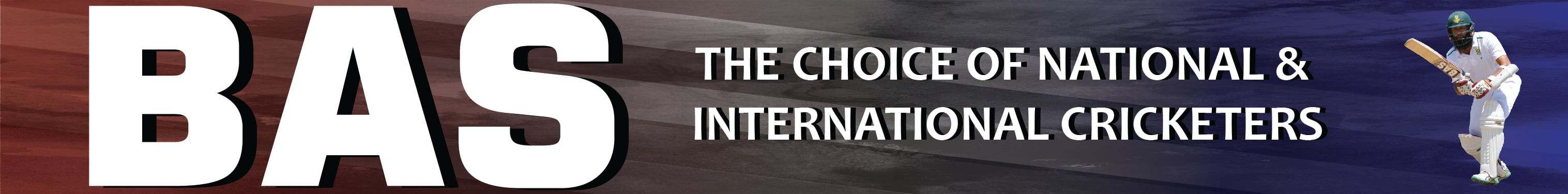 BAS 2017 Advert - BLUE - RED - web-01.jpg