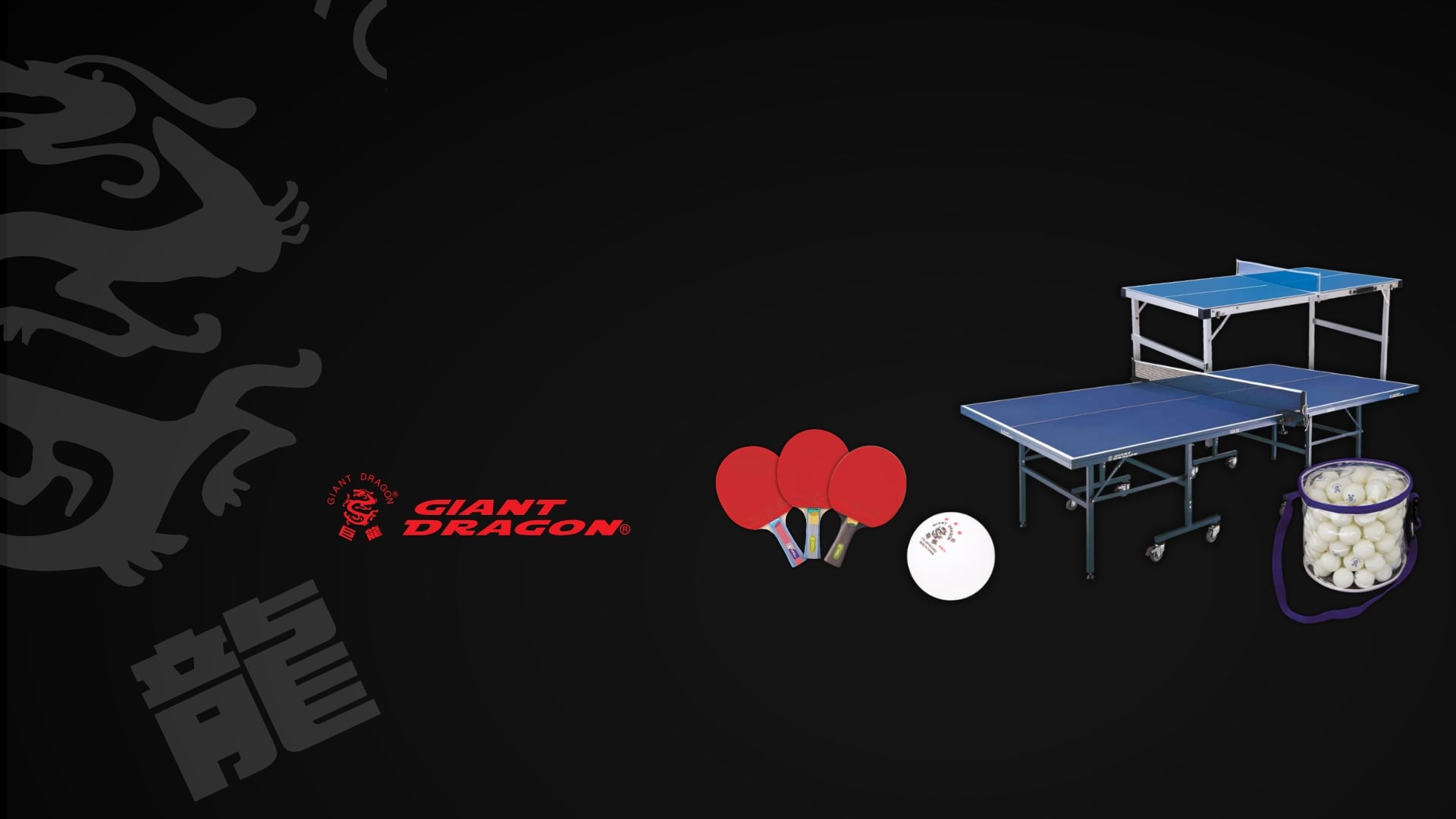 Giant Dragon Table Tennis Range